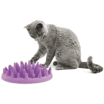 Green Slow Cat Feeder