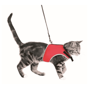 Harnais soft avec laisse pour chats