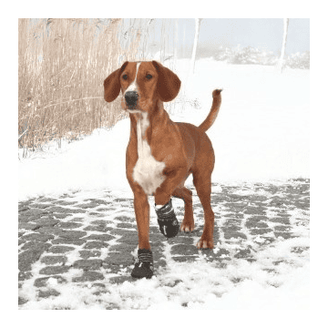 Bottes de protection Walker Active