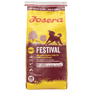 Festival