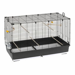 Cage à oiseaux Piano 7