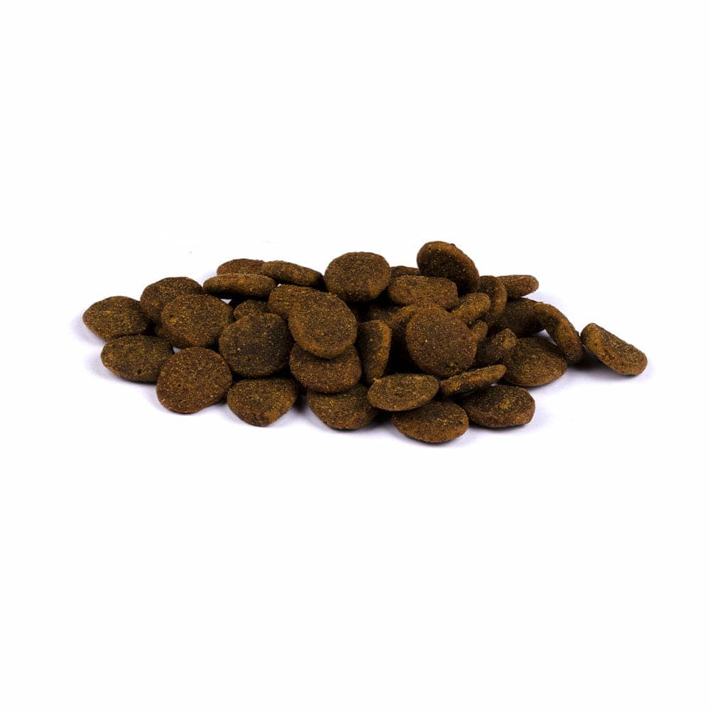 Dog Junior Large Breed True Fresh - Frisches Huhn
