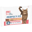 Adult 1+ Rind & Huhn