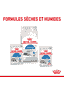 Indoor Cat 7+ en sachet