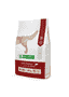 Adult All Breed Dogs Extra Salmon