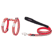 Harnais & laisse pour chats Design Rainbow Red XS