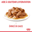 Digestive Care - sachet