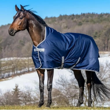 Weidedecke Freedom Turnout High Neck Light