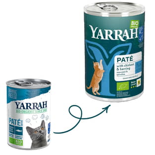 Bio Paté mit Fisch für Katzen - Dose