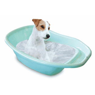 Badewanne für kleine Hunde