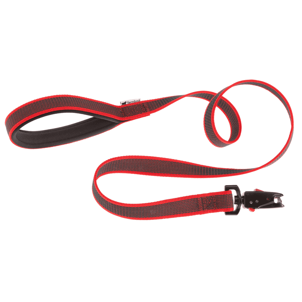Daytona dog city leash