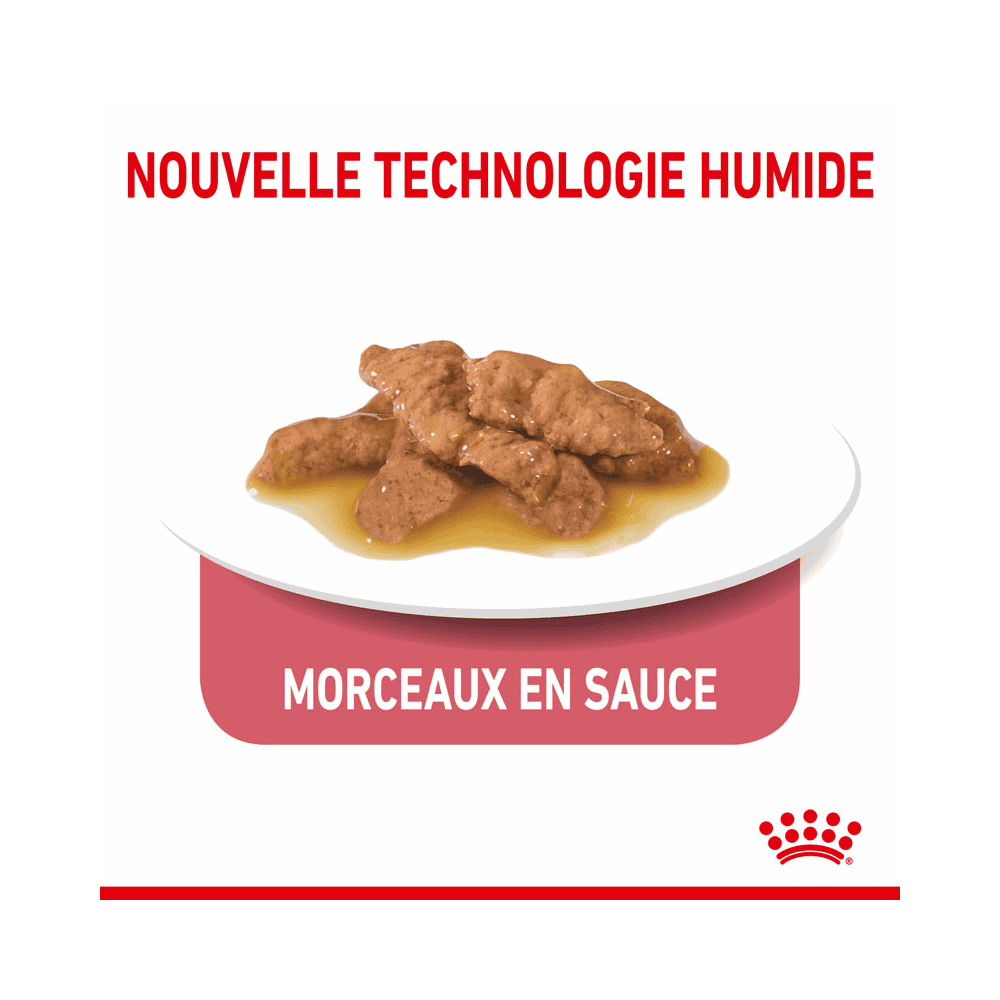 Indoor Cat 7+ en sachet