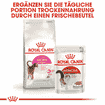 Aroma Exigent