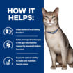Feline k/d Kidney Care Chicken - Fresh pouches
