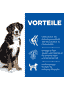 Canine Adult Large Breed Chicken