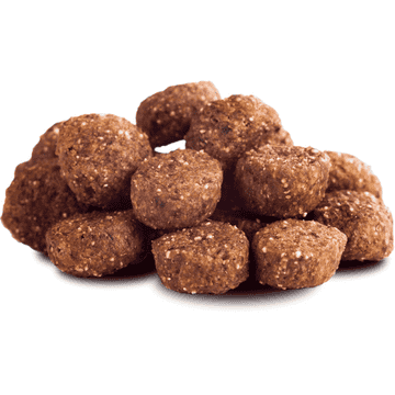 Beef Adult Minis