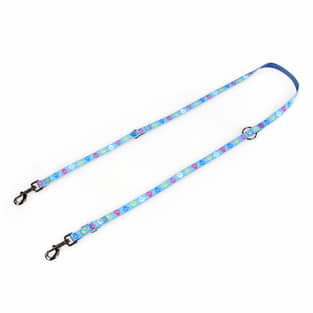 Lead Paws & Love , light blue