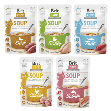 Care Cat Soup