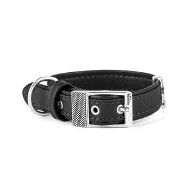 Bilbao Similpelle Halsband für Hunde in schwarz
