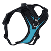 IDC Longwalk Light - aquamarine