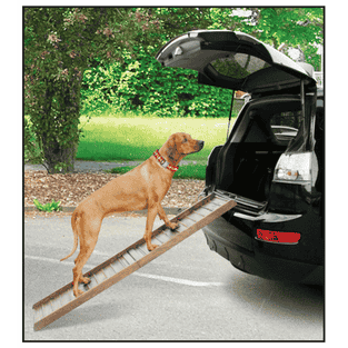 Auto Hunderampe Boarding