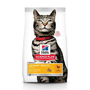 Feline Urinary Health