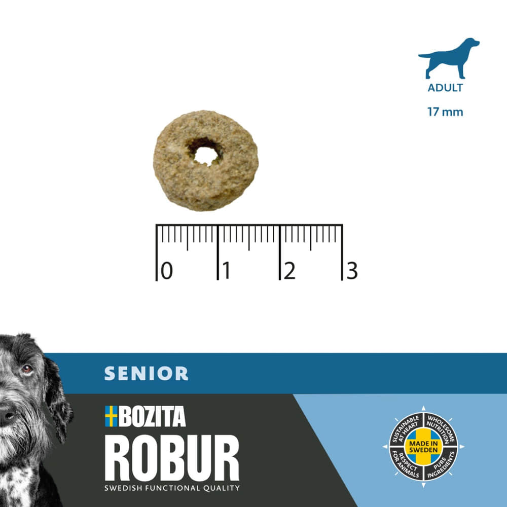 Dog Robur Adult Senior