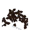 Speciality Line Dog All Breeds Adult Dinde, Riz et Patates
