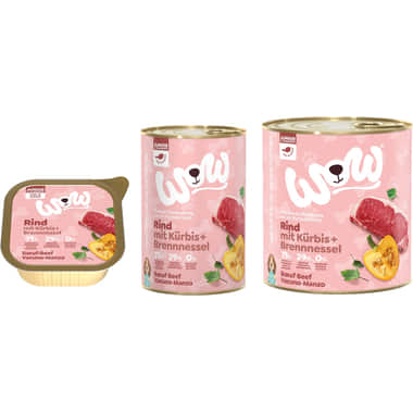 Junior, Rind mit Kürbis