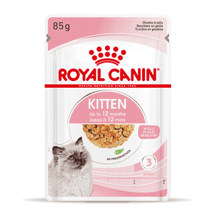 Kitten in Gelée - Frischebeutel