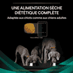 CANINE EN Gastrointestinal