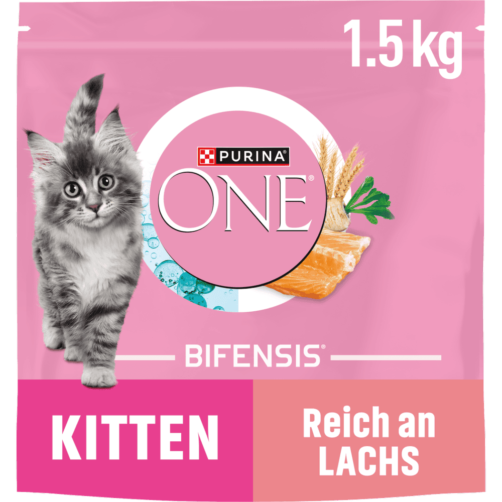 Kitten Lachs & Vollkorn