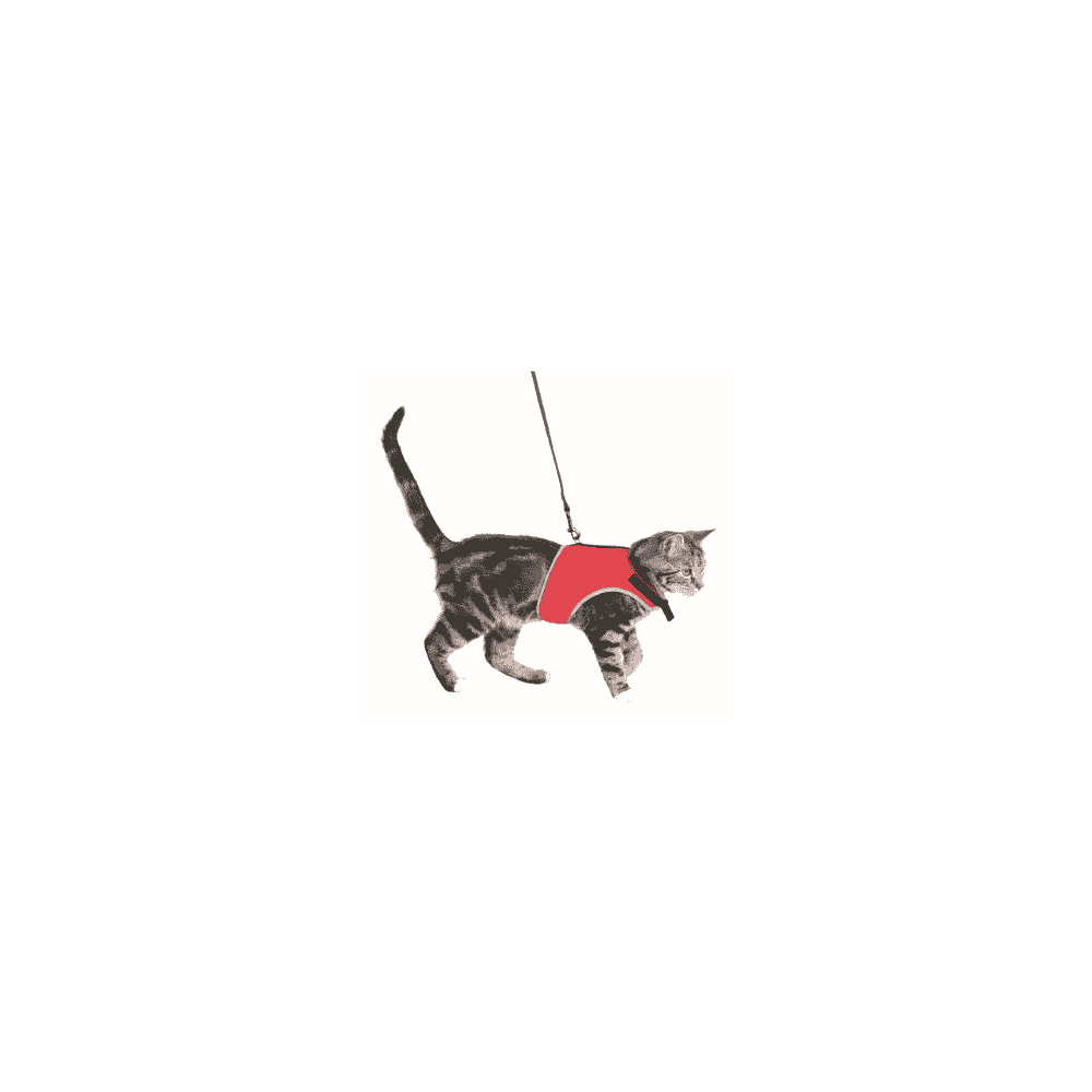 Harnais soft avec laisse pour chats