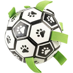 Football canin