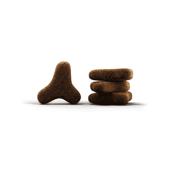Hypoallergenic Cat dry