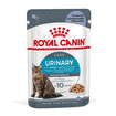 Urinary Care Jelly - Sachet
