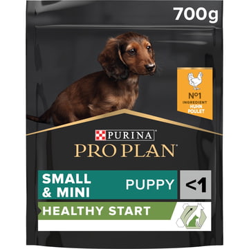 SMALL + MINI PUPPY