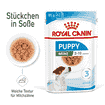 Mini Puppy - Stückchen in Sauce