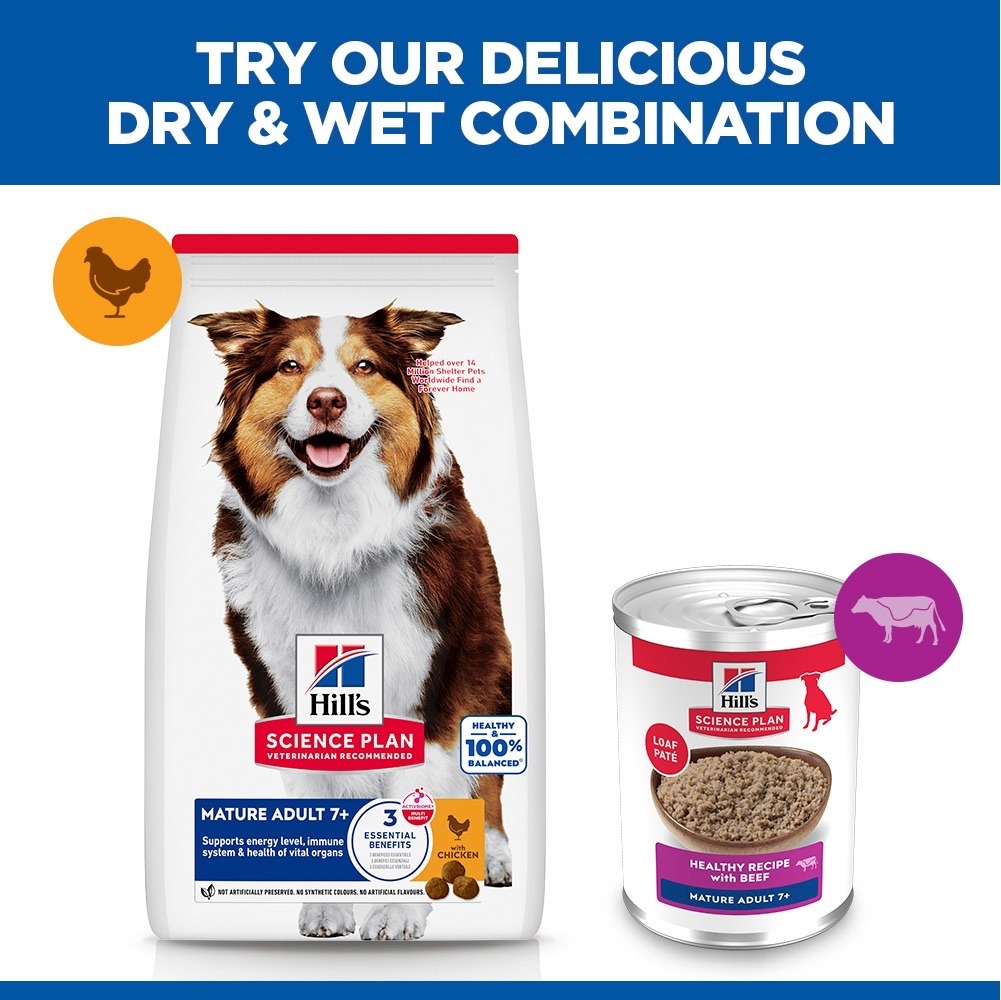 Canine Mature Adult 7+ Beef - Can