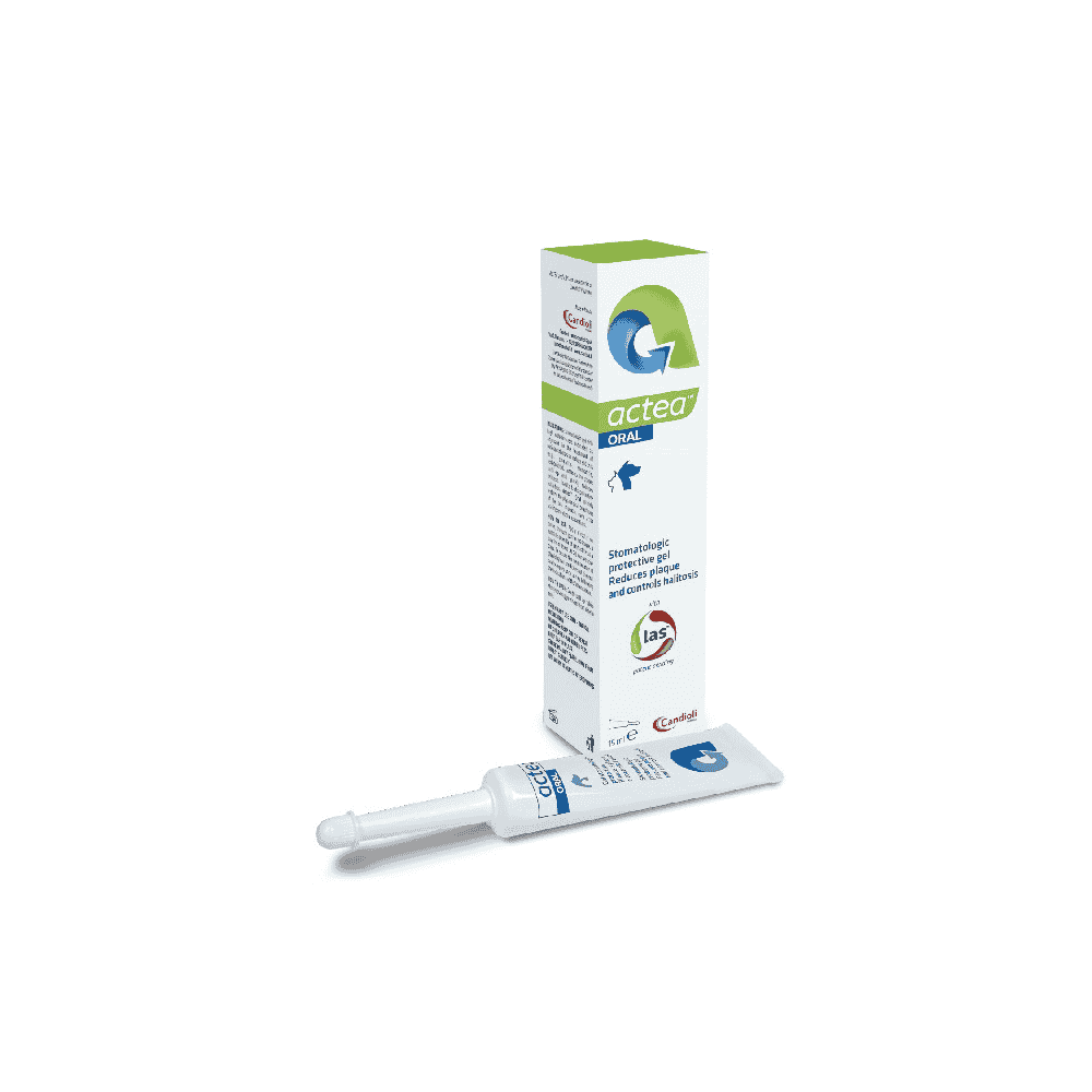 Actea Oral