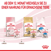 Kitten Mousse im Frischebeutel