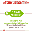 X-Small Ageing 12+