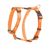 Alpinist XL dog harness