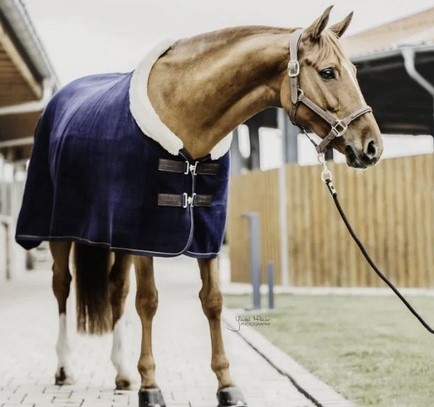 Sweat rug Fleece Show heavy - navy