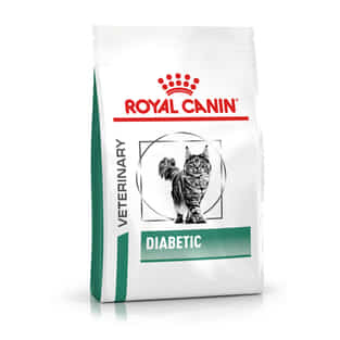 Diabetic Cat