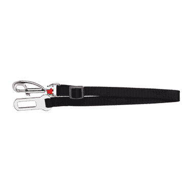 Ceinture de sécurité pour chien