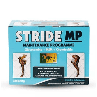Stride MP