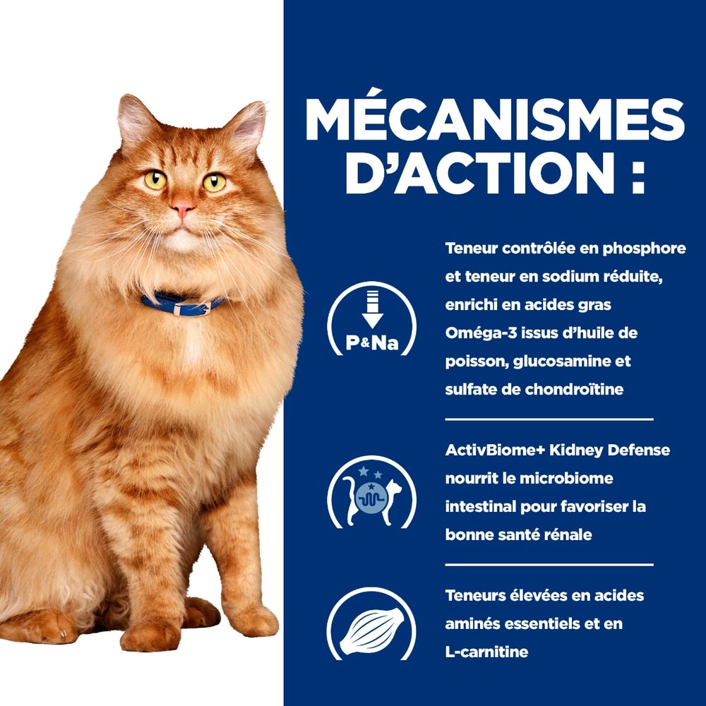 Feline k/d + j/d Kidney + Mobility
