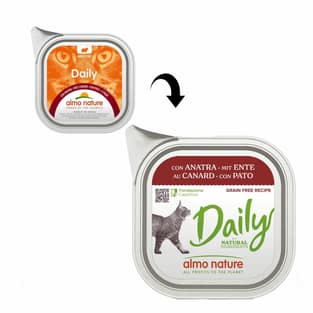 Daily - Schale