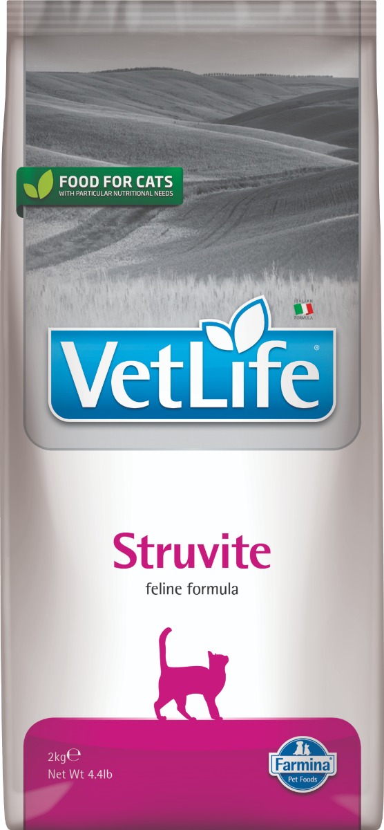 Feline Struvite